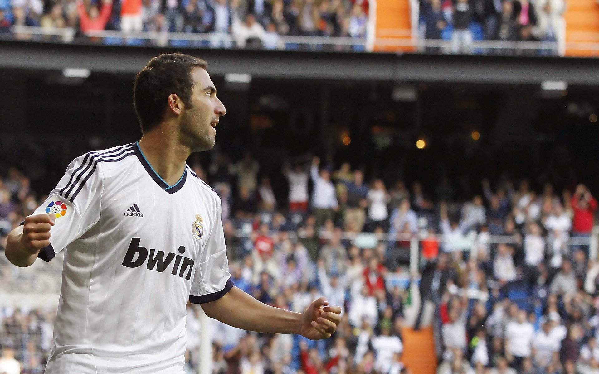 国际赛车联盟发布新规则，关注安全与节能，国际赛车大赛